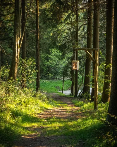 Wanderhotel-Erzgebirge_ergebnis.webp Wanderhotel-Erzgebirge_ergebnis.webp